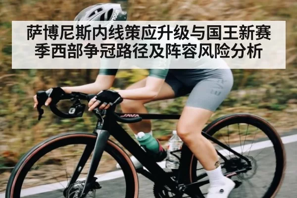 萨博尼斯内线策应升级与国王新赛季西部争冠路径及阵容风险分析